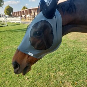Shooz Fly Protection Mask